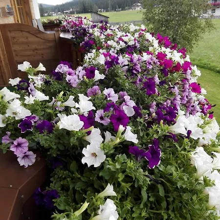 Haus Witting ロイタシュ