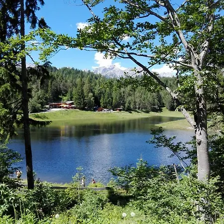 Apartman Haus Witting *