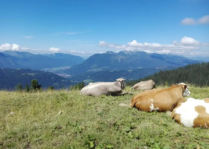 Haus Witting Leutasch