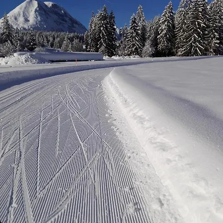 Haus Witting * Leutasch